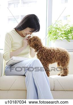 Banco de Imagem - femininas,  animais 
estimação,  um, 
 pessoa,  um, 
 jovem,  mulher, 
 só. fotosearch 
- busca de fotos, 
imagens e clipart