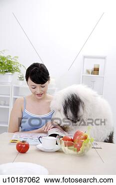 Banco de Imagem - femininas,  animais 
estimação,  um, 
 pessoa,  um, 
 jovem,  mulher, 
 só. fotosearch 
- busca de fotos, 
imagens e clipart
