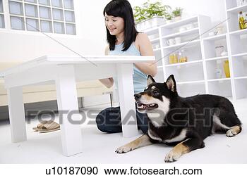Arquivo de Fotografias - femininas,  animais 
estimação,  um, 
 pessoa,  um, 
 jovem,  mulher, 
 só. fotosearch 
- busca de fotos, 
imagens e clipart