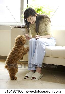 Banco de Imagem - femininas,  animais 
estimação,  um, 
 pessoa,  um, 
 jovem,  mulher, 
 só. fotosearch 
- busca de fotos, 
imagens e clipart