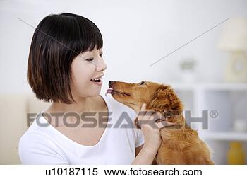 Banco de Imagem - femininas,  animais 
estimação,  um, 
 pessoa,  um, 
 jovem,  mulher, 
 só. fotosearch 
- busca de fotos, 
imagens e clipart