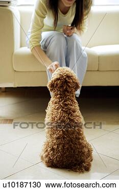 Arquivo de Fotografias - femininas,  animais 
estimação,  um, 
 pessoa,  um, 
 jovem,  mulher, 
 só. fotosearch 
- busca de fotos, 
imagens e clipart