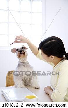 Banco de Imagem - femininas,  animais 
estimação,  um, 
 pessoa,  um, 
 jovem,  mulher, 
 só. fotosearch 
- busca de fotos, 
imagens e clipart