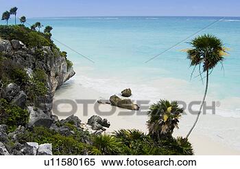 Banco de Imagem - caraíbas,  paisagem. 
fotosearch - busca 
de fotos, imagens 
e clipart