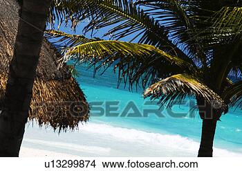 Banco de Imagem - caraíbas,  paisagem. 
fotosearch - busca 
de fotos, imagens 
e clipart