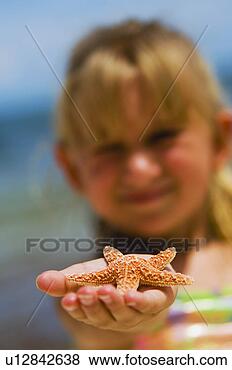 Banco de Imagem - menina,  segurando, 
 starfish. fotosearch 
- busca de fotos, 
imagens e clipart