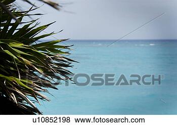 Banco de Imagem - oceânicos,  panorâmico. 
fotosearch - busca 
de fotos, imagens 
e clipart