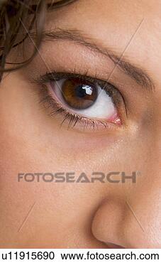 Stock Photography - woman's face. 
fotosearch - search 
stock photos, 
pictures, images, 
and photo clipart