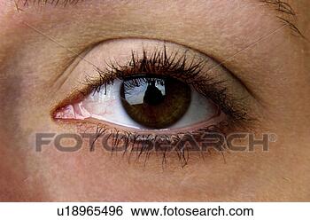 womans-eye_%7Eu18965496.jpg