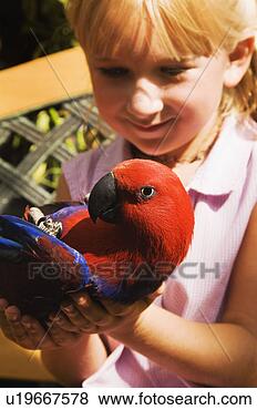 Banco de Imagem - menina,  segurando, 
 papagaio. fotosearch 
- busca de fotos, 
imagens e clipart