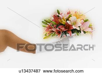 Foto - noiva,  buquet. 
fotosearch - busca 
de fotos, imagens 
e clipart