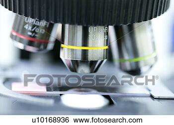 Banco de Imagem - microscópio,  
prata,  estudar, 
 microscópio, 
 escorregar. fotosearch 
- busca de fotos, 
imagens e clipart