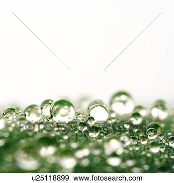 Stock Photograph - water droplets. 
fotosearch - search 
stock photos, 
pictures, images, 
and photo clipart