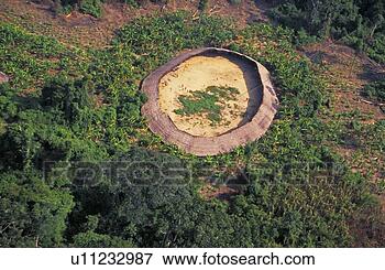 Picture - yanomami village 
seen from the 
helicopter, south 
of venezuela. 
fotosearch - search 
stock photos, 
pictures, images, 
and photo clipart