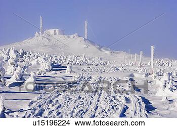 图吧 - 察看, 在中, 路径, 同时,, 被雪覆盖, 树, 在