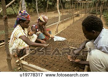 Picture - nursery, person, 
reforestation, 
burundi, 4252, 
people. fotosearch 
- search stock 
photos, pictures, 
images, and photo 
clipart