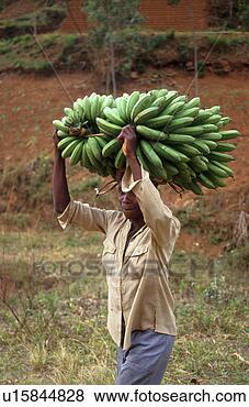 Stock Photo - person, carrying, 
burundi, 3258, 
people. fotosearch 
- search stock 
photos, pictures, 
images, and photo 
clipart