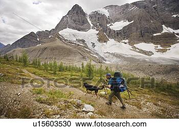Stock Photography - hiker and dog, 
 tumbling pass, 
 the rockwall 
trail,  kootenay. 
fotosearch - search 
stock photos, 
pictures, images, 
and photo clipart