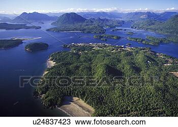 tofino