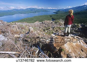 Stock Photo - clearcut logging, 
 rivers inlet, 
 great bear rainfrorest, 
 british. fotosearch 
- search stock 
photos, pictures, 
images, and photo 
clipart