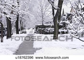 Stock Photo - sidewalk on a 
street covered 
with snow wintertime 
scenic toronto. 
fotosearch - search 
stock photos, 
pictures, images, 
and photo clipart