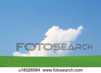 Stock Photo - a huge flat green 
land under a blue 
sky,  a cloud 
showing itself. 
fotosearch - search 
stock photos, 
pictures, images, 
and photo clipart