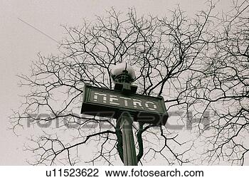 Stock Photo - image of a sign 
for the subway 
under a tree, 
 low angle view, 
 paris. fotosearch 
- search stock 
photos, pictures, 
images, and photo 
clipart