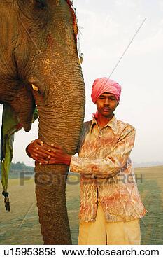 Stock Photo - close-up of a 
young man holding 
the trunk of an 
elephant. fotosearch 
- search stock 
photos, pictures, 
images, and photo 
clipart