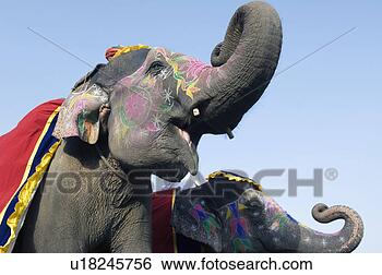Stock Photo - low angle view 
of two painted 
elephants blowing 
their trumpets. 
fotosearch - search 
stock photos, 
pictures, images, 
and photo clipart