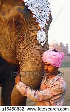 Stock Photo - side profile of 
a young man holding 
an elephant's 
trunk. fotosearch 
- search stock 
photos, pictures, 
images, and photo 
clipart