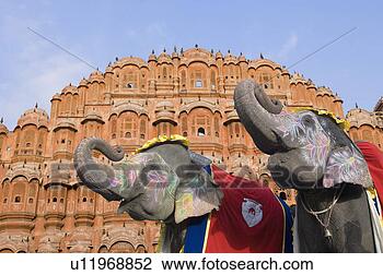 Stock Photo - low angle view 
of two elephants 
blowing their 
trumpets in front 
of a. fotosearch 
- search stock 
photos, pictures, 
images, and photo 
clipart