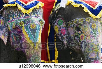 Stock Photo - close-up of two 
painted elephants, 
 elephant festival, 
 jaipur. fotosearch 
- search stock 
photos, pictures, 
images, and photo 
clipart