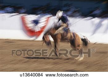 Stock Photo - photo impression 
of bronco rider 
at a rodeo. fotosearch 
- search stock 
photos, pictures, 
images, and photo 
clipart