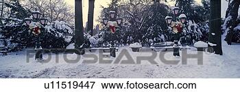 Picture - panoramic view 
of christmas wreath 
on lampposts in 
central park. 
fotosearch - search 
stock photos, 
pictures, images, 
and photo clipart