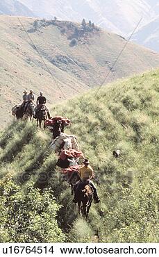 Stock Photo - line of horses 
with packs and 
riders. fotosearch 
- search stock 
photos, pictures, 
images, and photo 
clipart