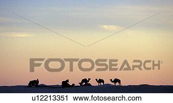 Stock Photography - arabian, africa, 
animals, african, 
africa, abenddaemmerung. 
fotosearch - search 
stock photos, 
pictures, images, 
and photo clipart