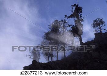 Stock Photo - beam,  climate 
change,  climatic 
heating,  climatic 
protection. fotosearch 
- search stock 
photos, pictures, 
images, and photo 
clipart