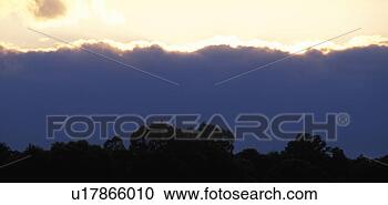 Stock Photography - clouds, back light, 
calf, burgenland, 
baumsilhouette, 
glow, austria. 
fotosearch - search 
stock photos, 
pictures, images, 
and photo clipart