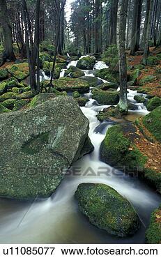Picture - bach, christian, 
brooks, autumn. 
fotosearch - search 
stock photos, 
pictures, images, 
and photo clipart