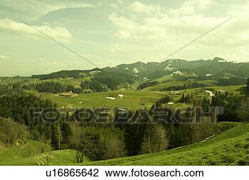 Stock Photo - panorama, meadows, 
grå¸n, yellow, 
green, nature, 
mountains. fotosearch 
- search stock 
photos, pictures, 
images, and photo 
clipart