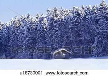 Stock Photography - blue, cabin, cold, 
conifer, coniferae, 
conifers, cottage. 
fotosearch - search 
stock photos, 
pictures, images, 
and photo clipart
