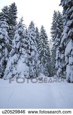 Stock Photo - christian, conifer, 
cold, abandoned. 
fotosearch - search 
stock photos, 
pictures, images, 
and photo clipart