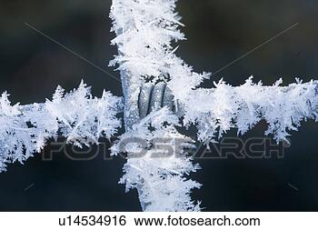 Stock Photo - close-up, details, 
detailaufnahme, 
detail, alfred. 
fotosearch - search 
stock photos, 
pictures, images, 
and photo clipart