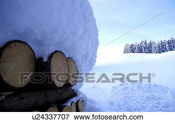 Picture - cold, blauphoton, 
cellar, branch, 
bough, alexander. 
fotosearch - search 
stock photos, 
pictures, images, 
and photo clipart