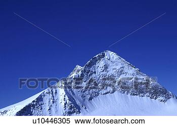 Stock Image - day, alps, cow, 
blue, bernhard, 
alps. fotosearch 
- search stock 
photos, pictures, 
images, and photo 
clipart
