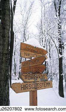 Stock Photo - lainzer, winterwald, 
austria, calf, 
cold, december, 
marker. fotosearch 
- search stock 
photos, pictures, 
images, and photo 
clipart