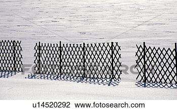 Stock Photo - weinviertel, austria, 
calf, cold, fence, 
landscape, lower 
austria. fotosearch 
- search stock 
photos, pictures, 
images, and photo 
clipart