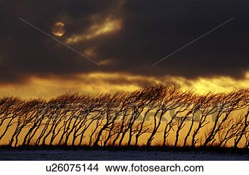 Banco de Imagem - mau,   bancos, 
  quebrada,   
climático,   mudança, 
  nuvem. fotosearch 
- busca de fotos, 
imagens e clipart