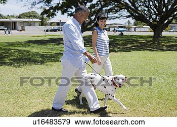 Arquivo Fotográficos - marido,  esposa, 
 andar,  cão. 
fotosearch - busca 
de fotos, imagens 
e clipart