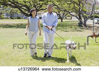Banco de Imagem - marido,  esposa, 
 andar,  cão. 
fotosearch - busca 
de fotos, imagens 
e clipart